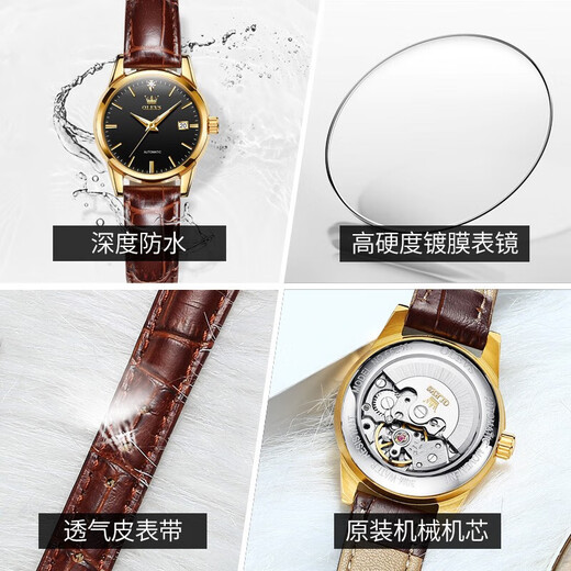 欧利时（OLEVS）瑞士认证品牌手表女士机械表全自动简约气质女表潮流时尚高档腕表 OLEVS-6629女-棕皮黑面