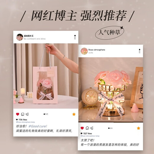 Chentian Rose Crystal Night Light Rechargeable Atmosphere Lamp Bedside Bedroom Girl Birthday Gift Creative Romantic Ornament Pink-Rose Crystal Lamp Comes with Essence + Gift Bag