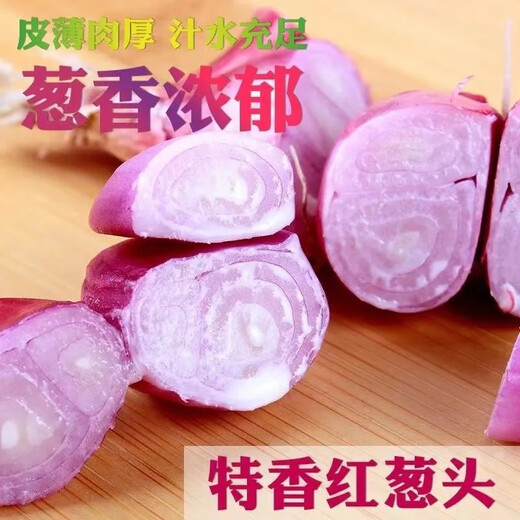 Authentic shallot seedlings, Guangdong shallots, commercial Fujian southern onion seeds, local wild four-season chive seeds, four shallots, Jin Jin, equal to 0.5 kg, free fertilizer in the favorite store