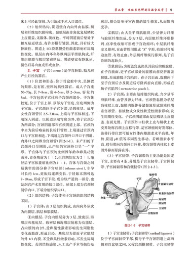 Reproduktionsmedizin 13. Fünfjahresplan Lehrbücher Fachkapazitätsverbesserung Leitlinienreihe für professionelle Studierende und Fachärzte der Klinik Medizin Human Health Edition Huang Hefeng Chen Zijiang People's Health Press Publishing House 9787117313544 13544