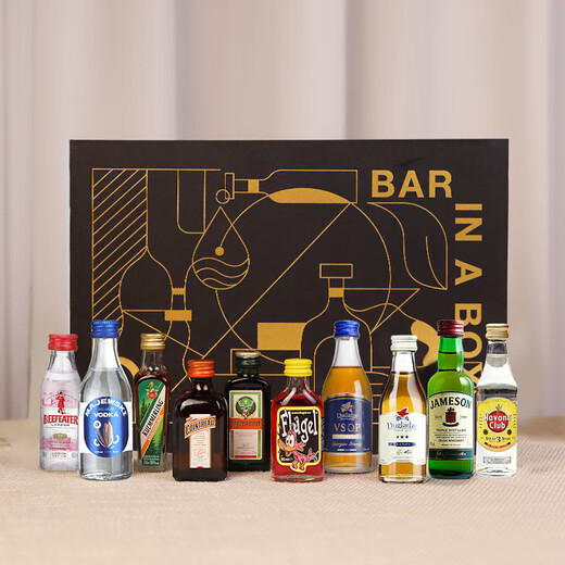 
ERGOUPUB small wine version gift box mini wine version whiskey bottle wine set gift for boyfriend 10 bottle wine version gift box