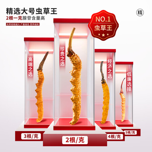 太守堂 冬虫夏草2根/g 5克礼盒装(约10根)年货礼品高海拔高洁净新干虫草