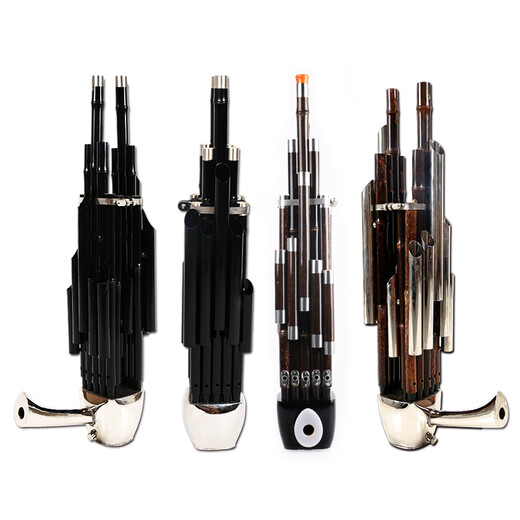 Instrument Sheng pour débutants 14 roseaux carrés sheng 17 roseaux 21 roseaux ronds sheng B plat CED clé débutant sheng instrument 14 roseaux violet bambou tube blanc cuivre doosheng-D clé