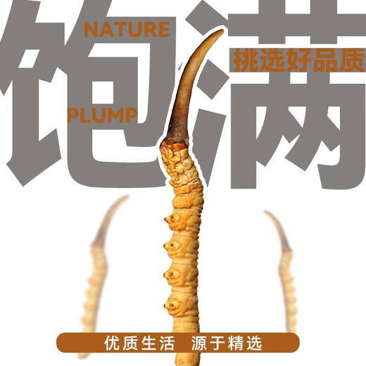 
Luzhangtang Authentic Cordyceps sinensis fine Cordyceps broken grass authentic big cordyceps dry goods buy 10 pieces free 1 piece bulk authentic Tibet Nagqu whole meat strips 1 gram (1 gram pack)