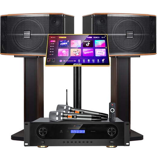 Shanshui (SANSUI) FK-101 Family karaoke 10-inch 12-inch 10-speaker KTV audio set Home conference card bag Singing audio TV karaoke speaker effect sing machine FK101 three-minute frequency 10-unit audio + amplifier + microphone + 3T song