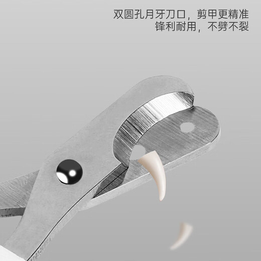 Kitten Meow Meow Cat Nail Clipper Cat Special Newbie Artifact Free Bloodline Round Hole Nail Clipper Pet Supplies Dog Nail Clipper Double Hole Nail Clipper Orange