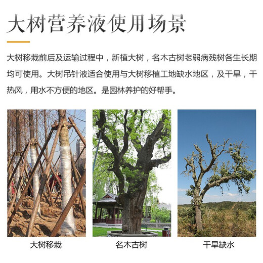 Shijia Big Tree Living Fast Tree Nutrient Solution Tree Hanging Needle Bag Transplanting Germination Fruit Tree Transplanting General Fertilizer