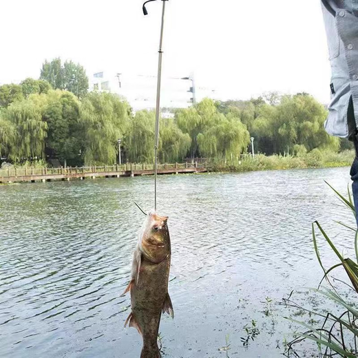 柏潮钩鱼器搭钩控鱼可伸缩冰钓锚鱼钩子船钓海钓勾鱼器捞鱼钩垂钓用品 20 1cm
