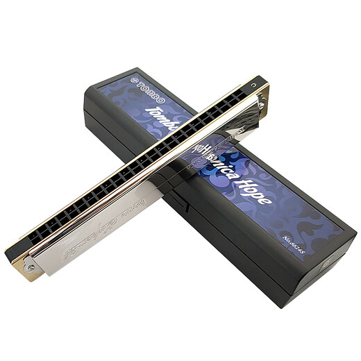 Tongbao Japan 24-Loch 6624S Polyphonic Marmonica Hope Serie Professionelle Instrumente für Anfänger für Erwachsene F-Tune