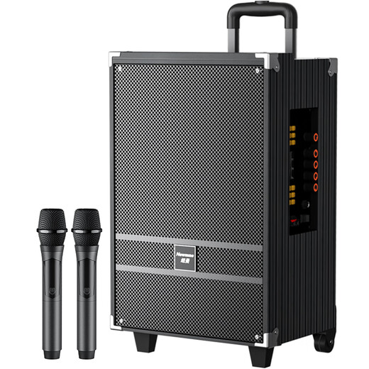 Newman N519 12-inch high-power subwoofer square dance audio mobile home outdoor karaoke Bluetooth trolley portable speaker amplifier dual microphone with adapter