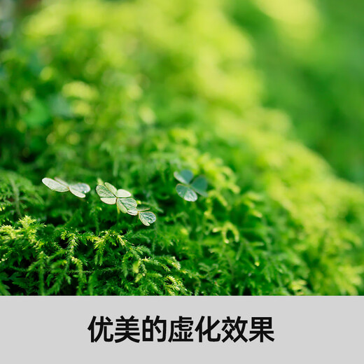 SIGMA 56mm F1.4 DC DN Contemporary half-frame large aperture fixed focus lens portrait close-up (Canon RF mount)