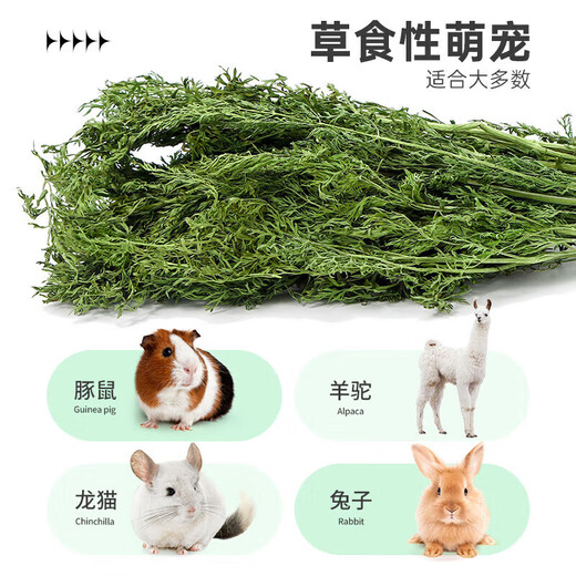 Xishuai dried carrot tassel baby rabbit food pasture lop-eared rabbit food hay chinchilla guinea pig feed 500g net weight/box