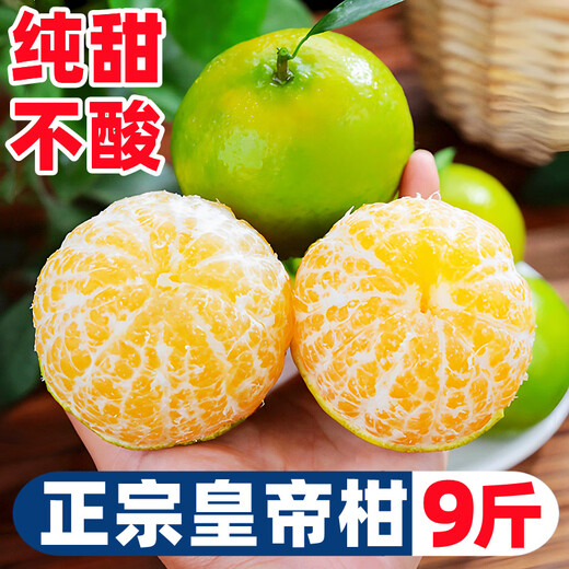 Yimeng Fruits and Vegetables Authentic Guangxi Emperor Citrus Tribute Orange Tribute Fresh Fruit Seasonal Picked Fruit Mid-Autumn Festival Gift Box Gift 5Jin Jin is equal to 0.5kg Jutian Tribute Fruit丨60MM+ Net 4.5Jin Jin is equal to 0.5kg