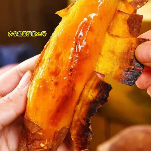 Freshly dug tobacco sweet potato, fresh air fryer roasted sweet potato, farmhouse sand red heart sweet potato, authentic tobacco potato No. 25, 9Jin Jin equal to 0.5kg, with box, medium large fruit (single fruit 150g-500g)