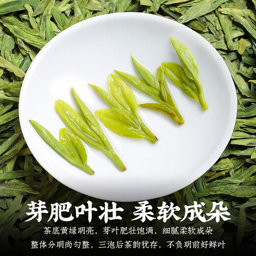 Chen Yifan Longjing tea green tea new tea Mingqian spring tea strong flavor authentic Hangzhou Longjing bag 250g