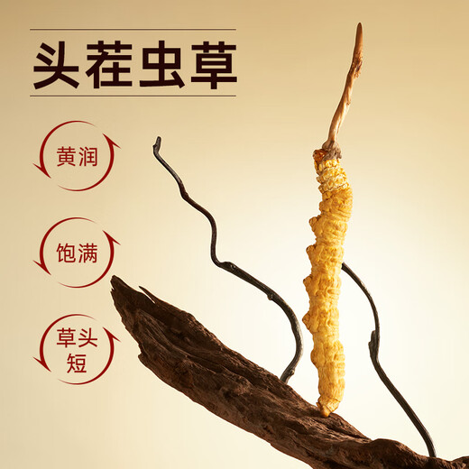 阿依舍 头茬冬虫夏草 新干虫草滋补品节日送父母礼物营养品高端礼盒 3-4根/克7克【中国红逸韵礼盒】