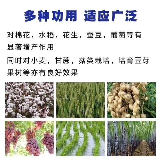 Agricultural Potassium Sulfate General Fertilizer for Fruit Trees and Vegetables Fully Water-Soluble Potassium Fertilizer Nutritional Quick-acting Potassium Sulfate 50kg 50Jin Jin is equal to 0.5kg Packed