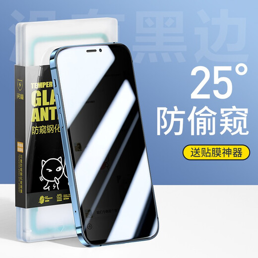 闪魔 适用苹果12钢化膜iPhone12promax手机膜12pro高清抗指纹防爆防摔无边保护贴膜 【25°防窥膜】1片装+神器 苹果12ProMax