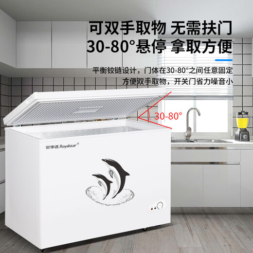 荣事达688商用家用卧式大冷柜大容量 冷藏冷冻转换冰柜商用小型单温冰箱全冷冻柜 一级能效 【一级能效 节能低霜】330升单温