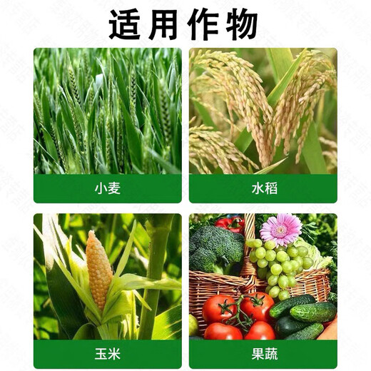 Special medicine for viral disease mosaic: Cylindroxylin, Morpholine hydrochloride, Aminooligosaccharide, Tomato virus disease 1000g (500g+500g)