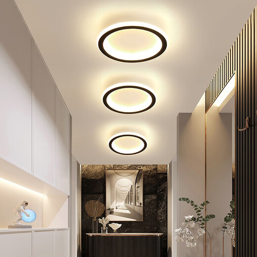 祎琳LED吸顶灯现代简约阳台过道走廊衣帽间入户玄关小灯长条灯具 五边20cm20w/白光