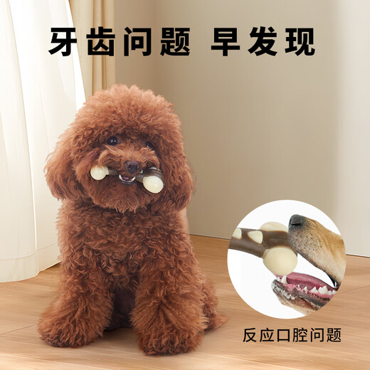 EETOYS Small Dog Claw Bone Dog Toy Snacks Teeth-Resistant Bite-Resistant Teeth Cleaning Stick Pet Supplies for Small Dogs to Solve Boredom Alone