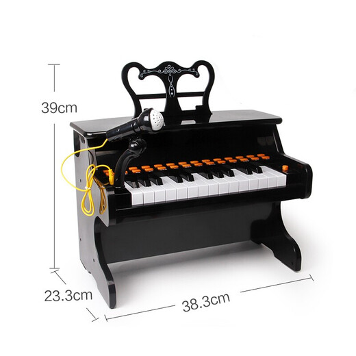 BAOLI Children's Electronic Piano Toy Baby Music Enlightenment Early Education Beginner 3-6 Years Old Boys and Girls Birthday Gift