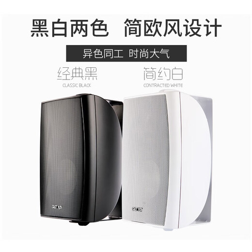 先科（SAST）DW40壁挂式音响音箱喇叭 40W无源需连功放机店铺商用工程会议室家用餐厅公共广播背景音乐 4英寸	