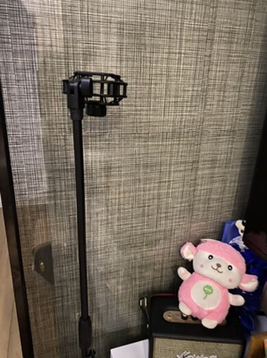 Lct240/249/440/449/280/840/940 Senran Microphone Disc Floor Stand Floor Stand + Shock Mount