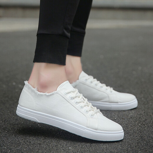 Wangzhibu Canvas Schuhe Herren 2025 Frühling und Herbst Neue Freizeitschuhe Herren koreanische Version VERSATILE FOLIG COLOR TOOD SHOUS Flat-LOLED-Schnüre-up White Schuhe 1712 White 41