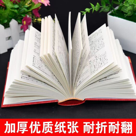 简化字繁体字异体字对照字典（每个字头都简繁或简异对照，新加了简繁对照的字头配有简繁转化规律的栏目）