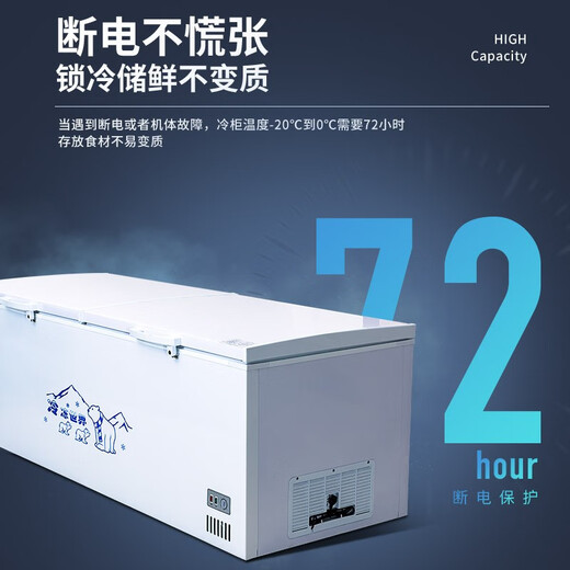 弗拉威冰柜商用大容量冷柜冷藏冷冻冰柜双温展示雪柜商用冷柜商用冷冻柜 728升级版单温