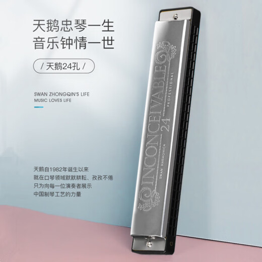 天鹅（SWAN）单音口琴24孔c调儿童小学生初学者入门C大调带简谱音符口风琴 【带音符标记】单音24孔C调黑色