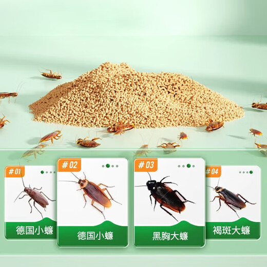 Green Leaf Cockroach Medicine Granules Cockroach appât tuer le cafard tuant 100 g de cafard tuant l'insecticide 1047