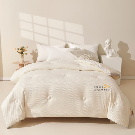 Classe Boxingna A Couche d'hiver de couleur de couleur de fibre de soja, broyage de la courtepointe à quatre saisons Dormitory Single Person lavable 8 Jin [Jin est égal à 0,5 kg] Classe de courtepointe épaissie A Quilt-Ivory de soja 150 * 200 6 Jin [Jin est égal à 0,5 kg]