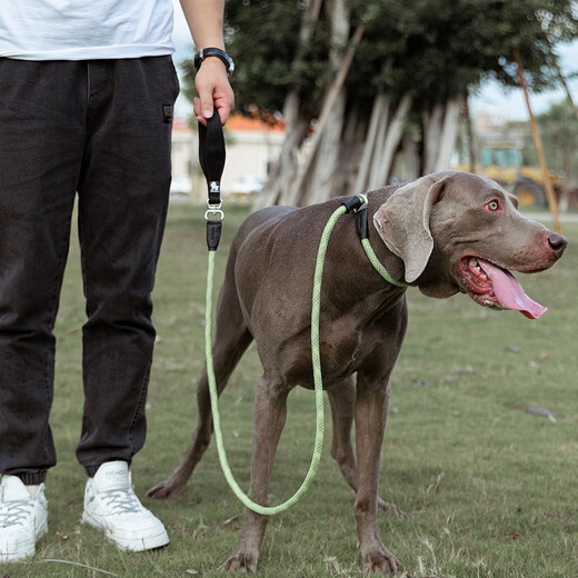 
TRUELOVE Dog Traction P-leash Small Medium Large Dog Golden Retriever Border Collar Husky Labrador Dog Chain TLL2575 Yuemeihong M Size