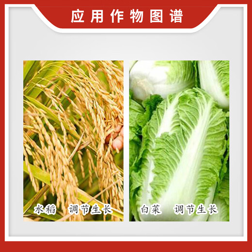 Weidi Yiquan 0.004% 28-high brassinolide rice and cabbage plant growth regulator 10ml