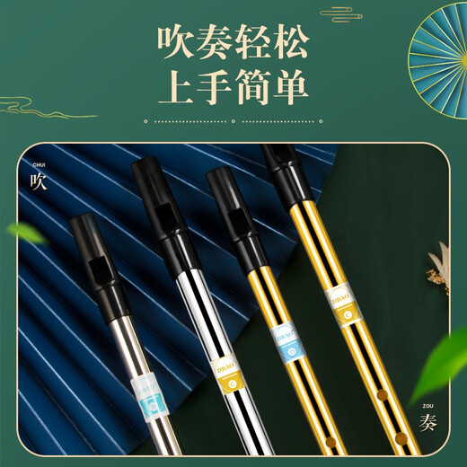 DBAO Irish Whistle Flute Flute Beginners Professional Playing Treble Recorder Musical Instruments for Primary School Students [DBAO Alloy] Black C-Tun + Giveaway