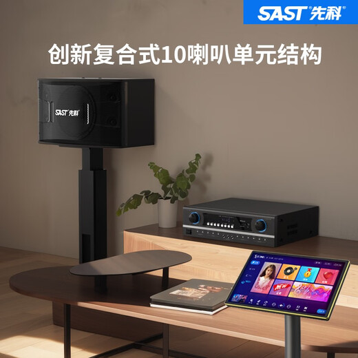 先科家庭ktv音响套装点歌机卡拉ok点唱一体机全套会议室家用家庭影院K歌全套电视客厅专业唱歌组合音箱 10寸10单元音响+功放