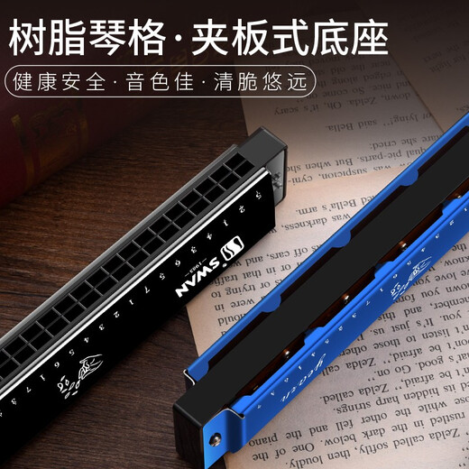 KORG teacher brand 24 hole C major monophonic harmonica for beginners in primary and secondary school students practice harmonica instruments 24 holes monophonic bright silver beginner model + self
