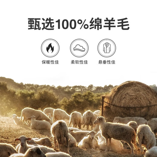 Navigare意大利小帆船纯羊毛夹克衫男秋冬保暖外套翻领时尚男装短装呢大衣 方钠石蓝 XL /52