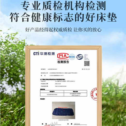 Antarctic Air Mattress Single Inflatable Mattress Double Home Thickened Lazy Outdoor Camping Tent Folding Portable Inflatable Bed 73*191*22cm Single Bed + Foot Pump (Slow Inflation)