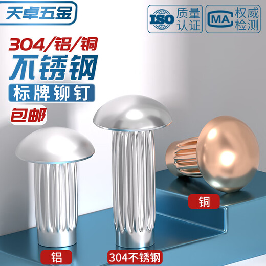 Tianzhuo Hardware GB827 stainless steel 304 sign rivets aluminum knurled nameplate copper trademark solid rivets M2M2.5M3M4M5mm M2*6 300 pieces copper