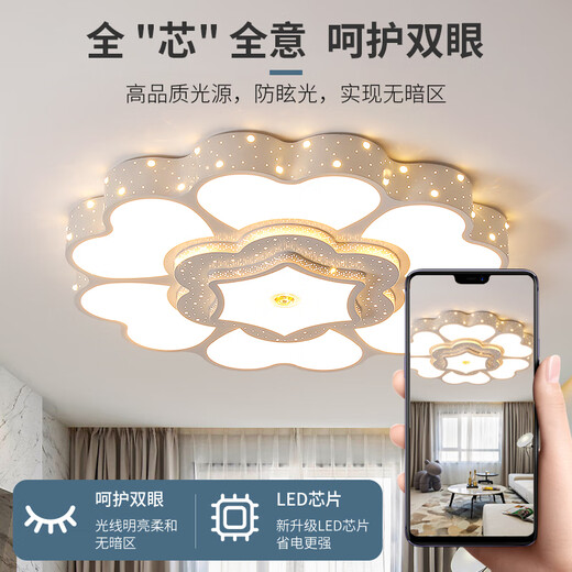 三栖虎2025年新款客厅灯大灯简约现代圆形大厅灯大尺寸花朵led吸顶灯具 1W 全光谱护眼-RA9713