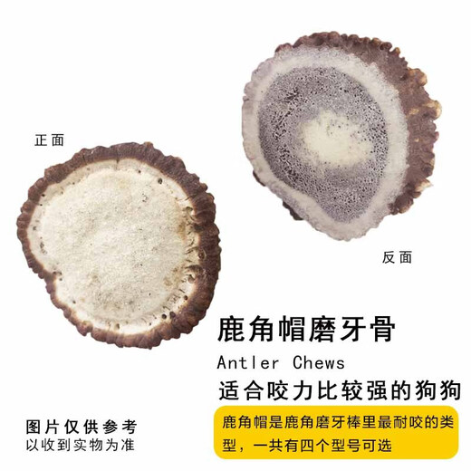 Beipin Deer Antler Dog Snacks Teeth Remover S Deer Antler Cap (20-45g)