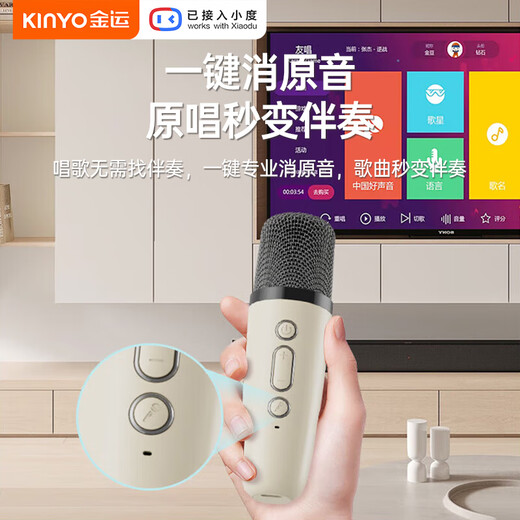 Jinyun k песня микрофон и аудио интегрированные беспроводные микрофонные пение артефактов Семейство KTV Set Новый стиль с помощью звуковой карты выделенным Bluetooth TV Discoers 2025 Gift Dome