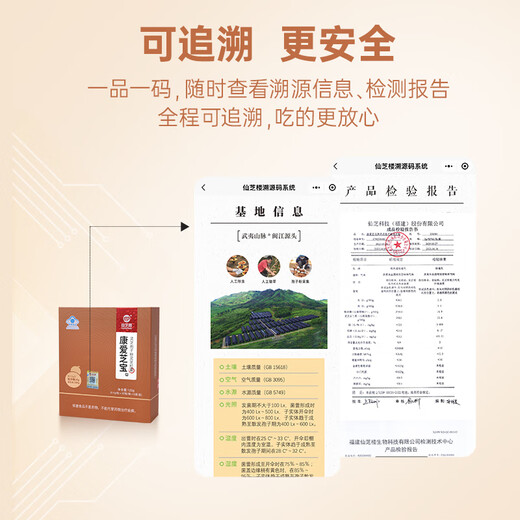 Xianzhilou Breaking Wall Ganoderma lucidum sporenpulver ganoderma lucidum pulverkapseln, die Geschenke für Anti-Strahlung und Strahlung im mittleren Alter und ältere Gesundheitsprodukte mit 620 g (zweites Jahr) aufrechterhalten und die Stabilität und Steckdose erhöhen.