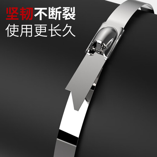 XMSJ卡夫威尔不锈钢扎带自锁式304金属扎线理线绑线户外耐高低温绑带0 7.9*300MM20支装T3291