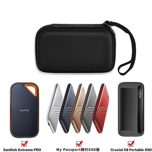 闪迪（SanDisk）E30/E60/E61/E81固态移动硬盘包携防震防摔盒硬盘包 收纳包保护套 E30（极速版|精巧便携） 2TB 专用硬壳包