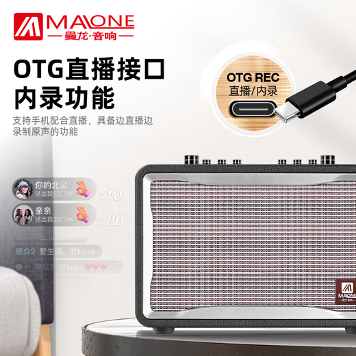 MALONE portable Bluetooth karaoke audio outdoor square dance live broadcast with sound card microphone guitar playing and singing performance speaker amplifier GT-001 (450W) + dual microphone + gift flagship version